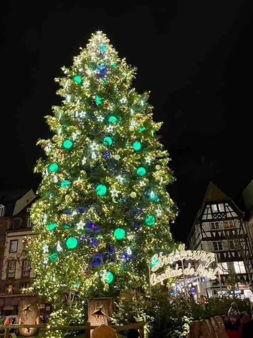 Gite Des Renards La Broque ภายนอก รูปภาพ
